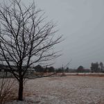 雪の日　240210 (1 - 1)